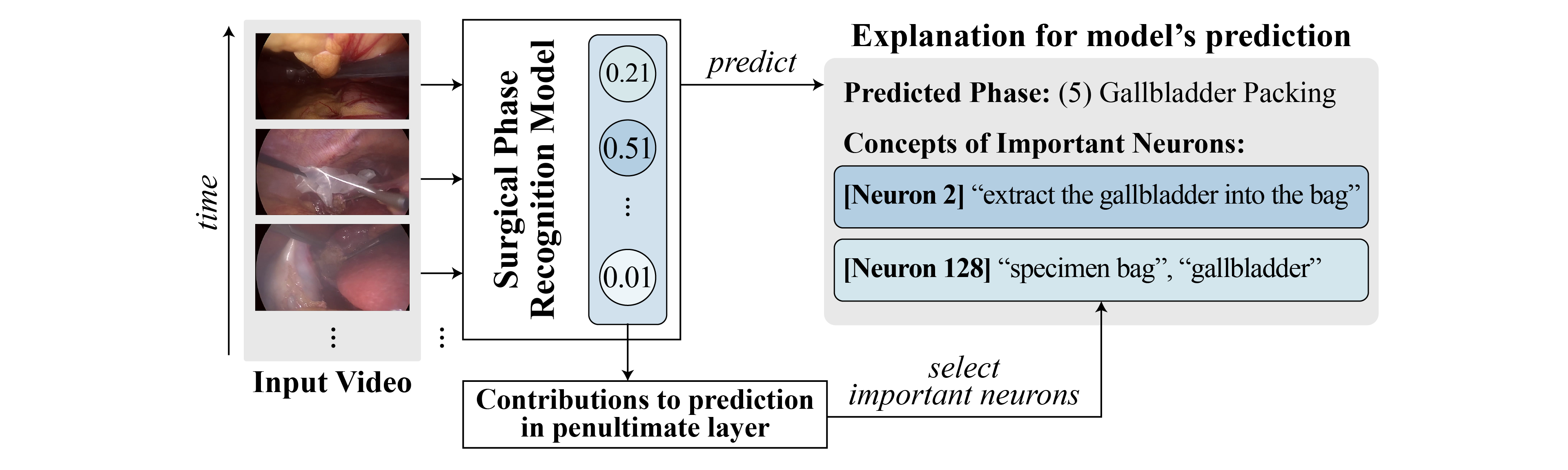 models prediction explanation